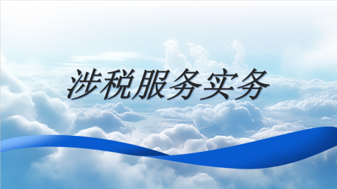 涉稅服務(wù)實務(wù) 